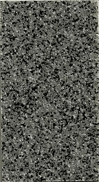 GRUPO PAVIN - Suelos y pavimentos industriales | Carta de colores sistemas cuarzo color mix - Ref.: 85/2010