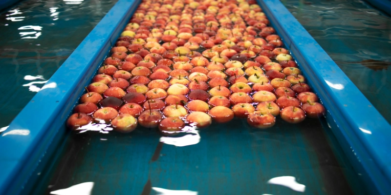 Línea de lavado de manzanas en planta frutícola con pavimento higiénico e impermeable