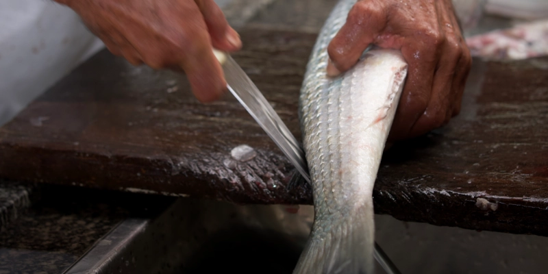 Operario realizando fileteado de pescado sobre superficie de trabajo en entorno pesquero